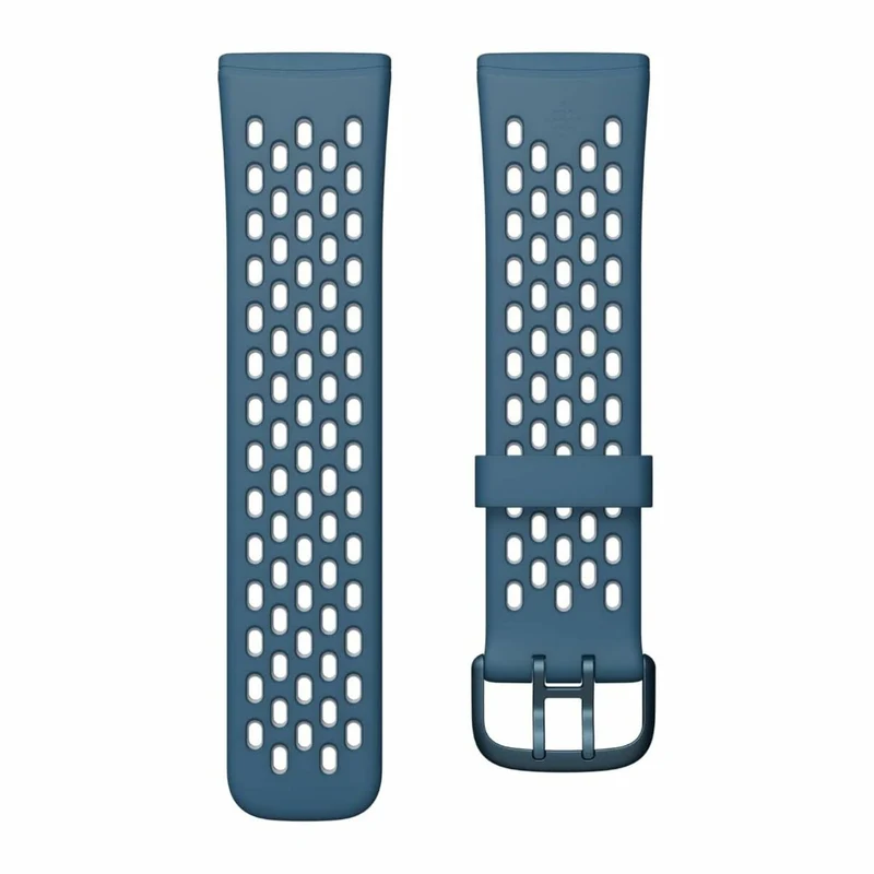 Montre connectée Fitbit Bleu