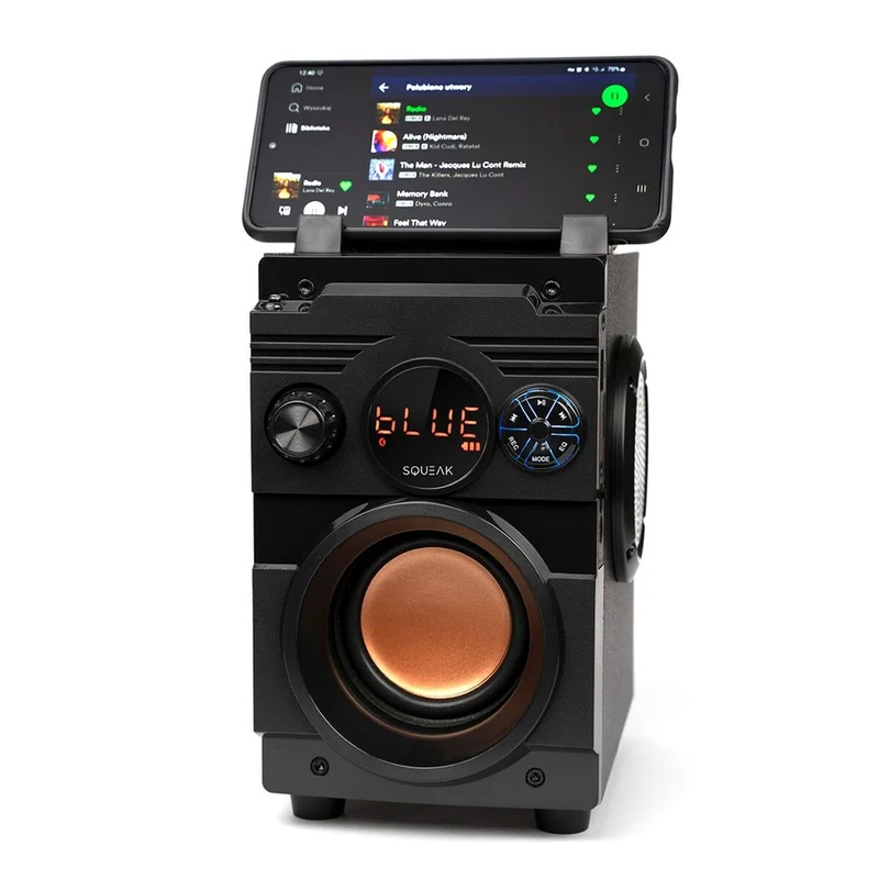 Enceintes Bluetooth portables SQUEAK SQ1001 Noir 20 W