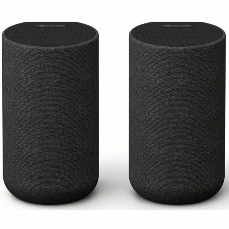 Enceintes Bluetooth portables Sony SA-RS5 Noir