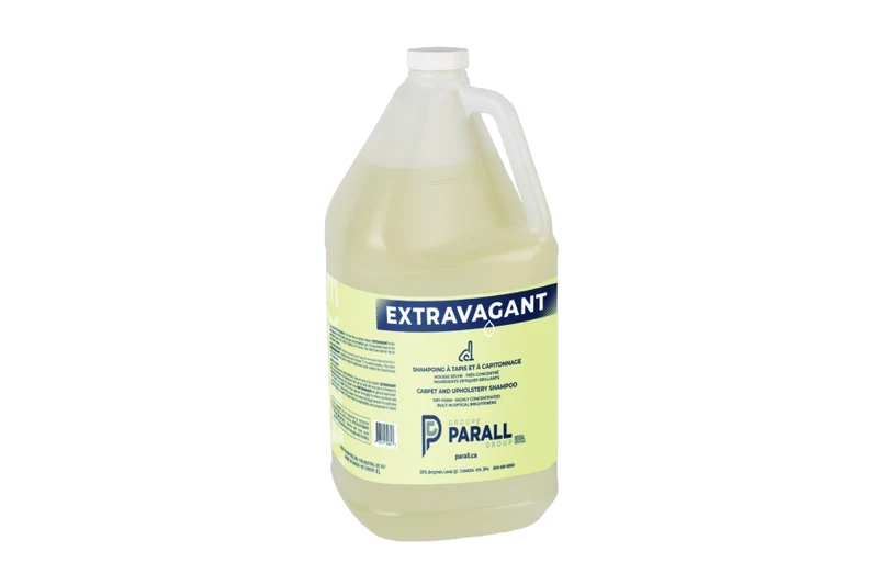 Extravagant Shampoing mousse sèche 946 ml – Tapis, meubles et intérieur de véhicules