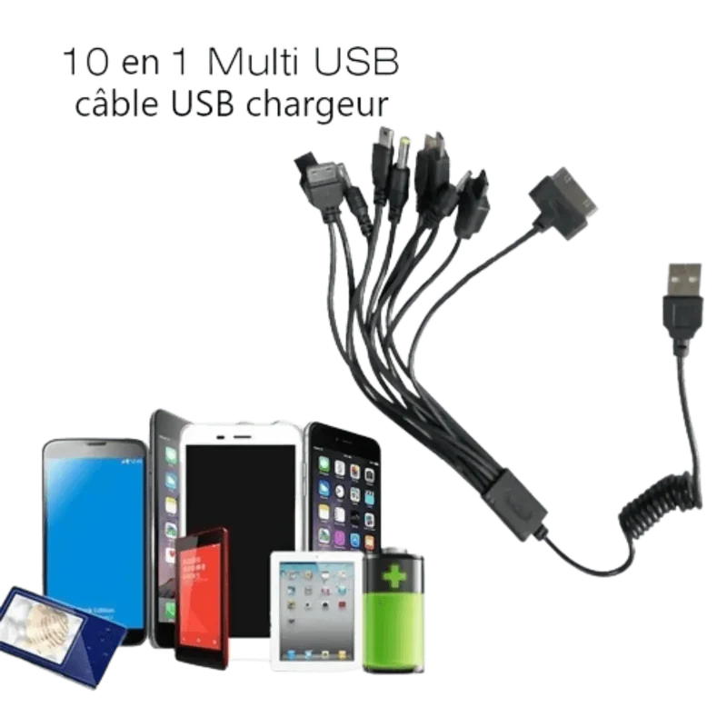 Câble de Chargement Universel 10 en 1 pour Téléphone Gsm