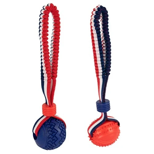 Balle avec lanceur élastique ludique
