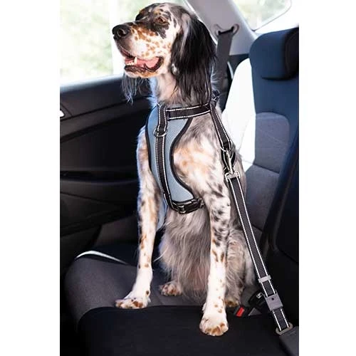 IBÁÑEZ Dogway VOITURE AVEC SELLERIE DE CEINTURE DE SECURITE S