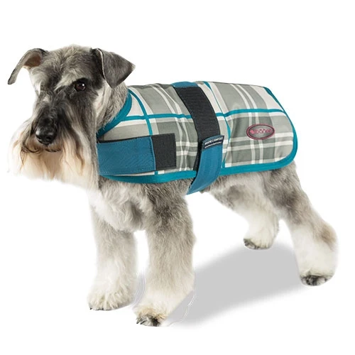 IBÁÑEZ AQUAMARINE + TRENDY RESPIRER COAT CONFORT - 25cm