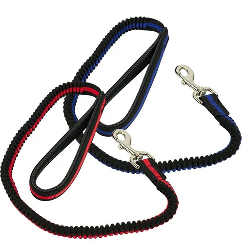 IBÁÑEZ BUNGEE ABSORPTION DE CHOC ROUGE LAISSE