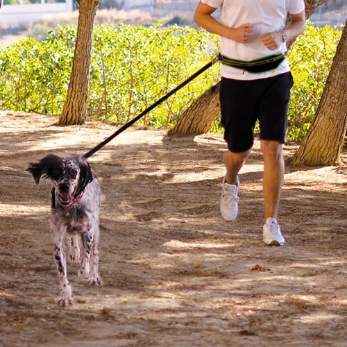 IBÁÑEZ RUNNING LAISSE ON GO
