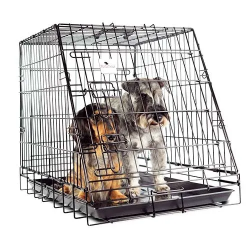 Cage pour VOITURE