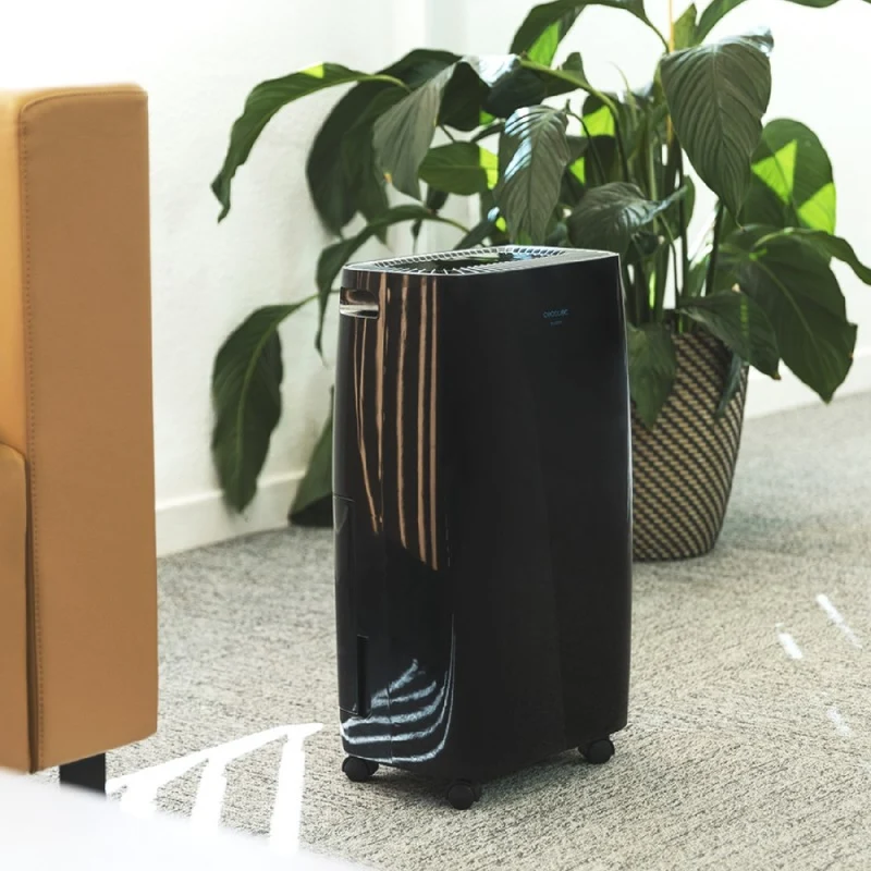Cecotec Déshumidificateur BigDry 4000 Expert Black