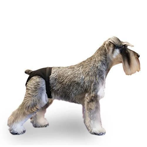 Noir Chien Heat Pants - Size 0