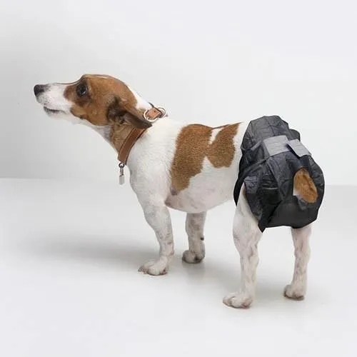 Chien Nappies. Size 1 - 32-42cm - Noir (12 Un.)