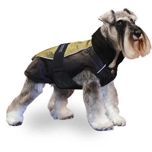 Manteau Chien Vert Trek Breathe Comfort