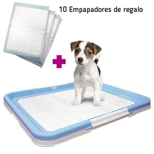 PADS Tapis d'Education à la Propreté