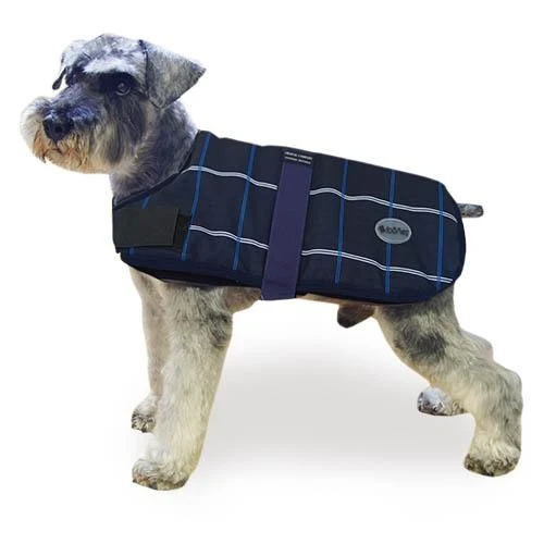 Manteau Chien Bleu Trendy Breathe Comfort