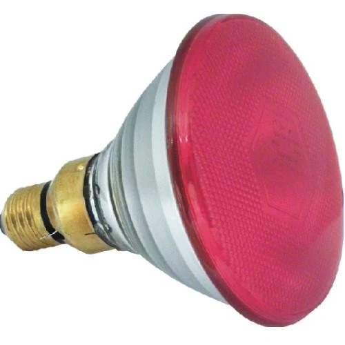 Lampe Infrarouge pour portée 175w. Economie d'Energie