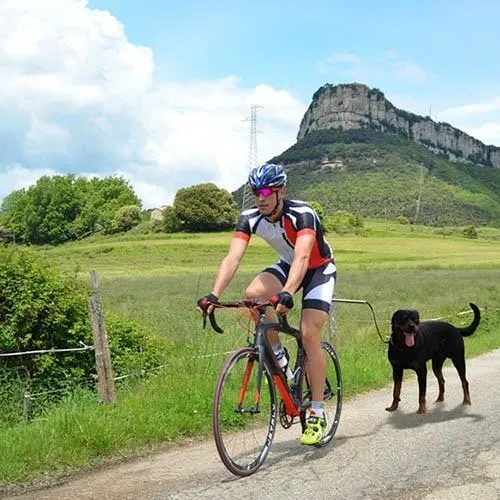 Ibá Dogcycle