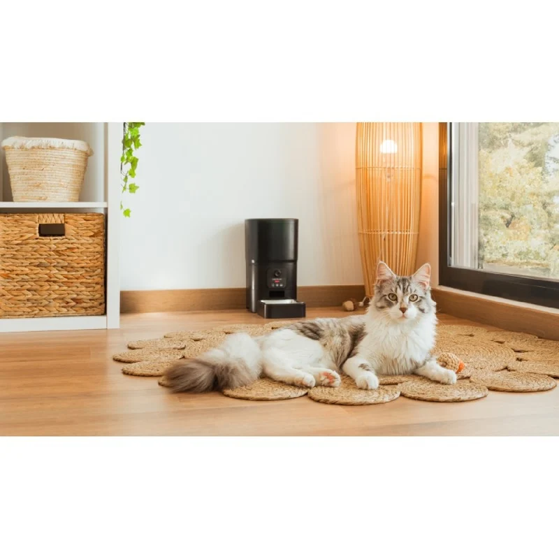 Cecotec Distributeur de croquettes Pumba 6000 Purrfect Meal Smart Vision