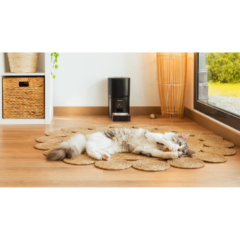 Cecotec Distributeur de croquettes Pumba 6000 Purrfect Meal Smart