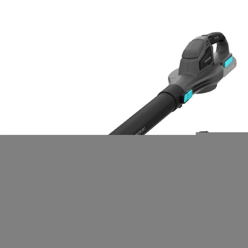 Cecotec Souffleur AirForce 2500 Agile