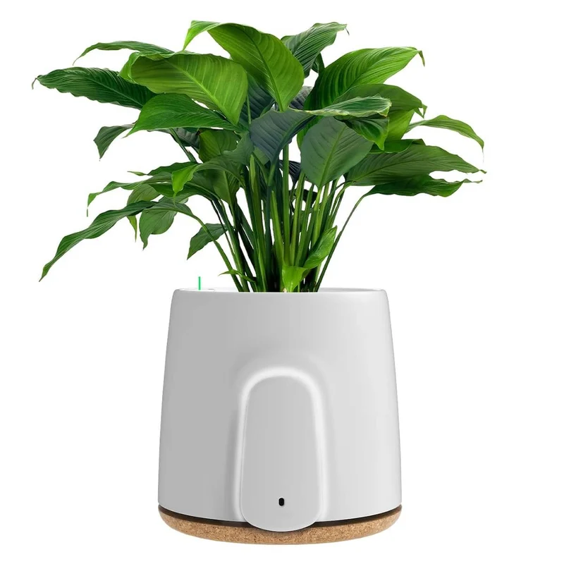 Vitesy Natede Basic Purificateur d'Air Naturel