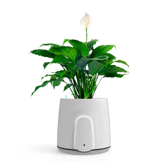 Vitesy Natede Smart - Purificateur d'Air Naturel
