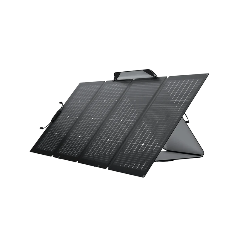 EcoFlow Panneau solaire bifacial 220W